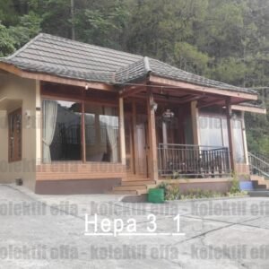 hepa 3 1