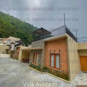 villa avocado 2