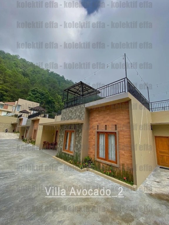 villa avocado 2 villa avocado 2