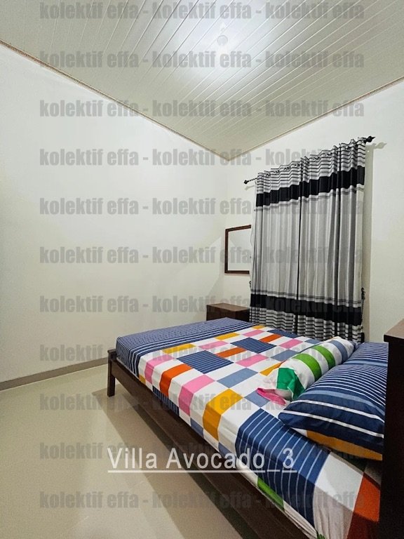 villa avocado 3 villa avocado 3
