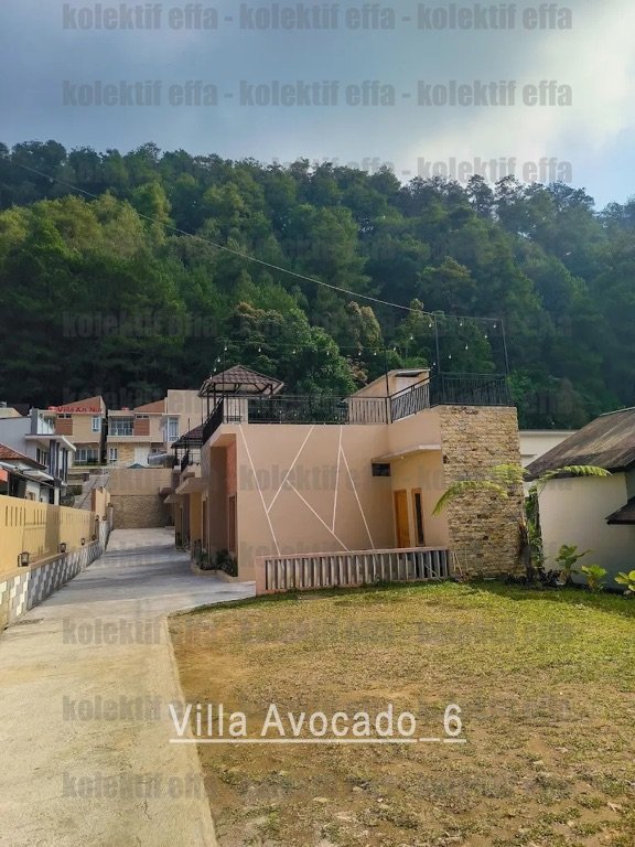 villa avocado 6 villa avocado 6